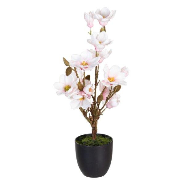 Dekor növény Poliészter Polietilén Vas 30 x 30 x 60 cm Magnolia MOST 26954
HELYETT 17288 Ft-ért!