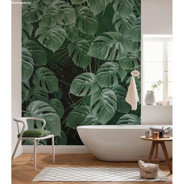 Monstera növény mintás tapéta, 200x250 cm, zöld - MONSTERA - Butopêa