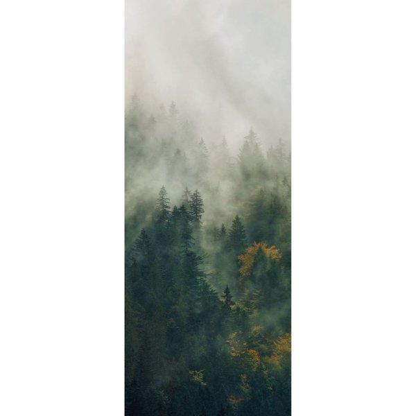 Kárpátok erdőit ábrázoló tapéta, 100x250 cm, fenyőzöld - FORET BRUMEUSE
- Butopêa