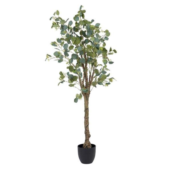 Dekor növény 78 x 68 x 150 cm Zöld PVC Eukaliptusz MOST 100469 HELYETT 60966
Ft-ért!