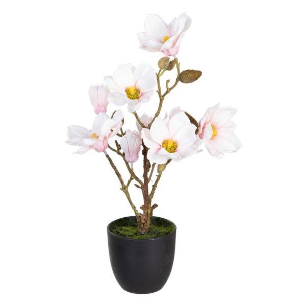 Dekor növény Poliészter Polietilén Vas 25 x 25 x 49 cm Magnolia MOST 17944
HELYETT 10740 Ft-ért!