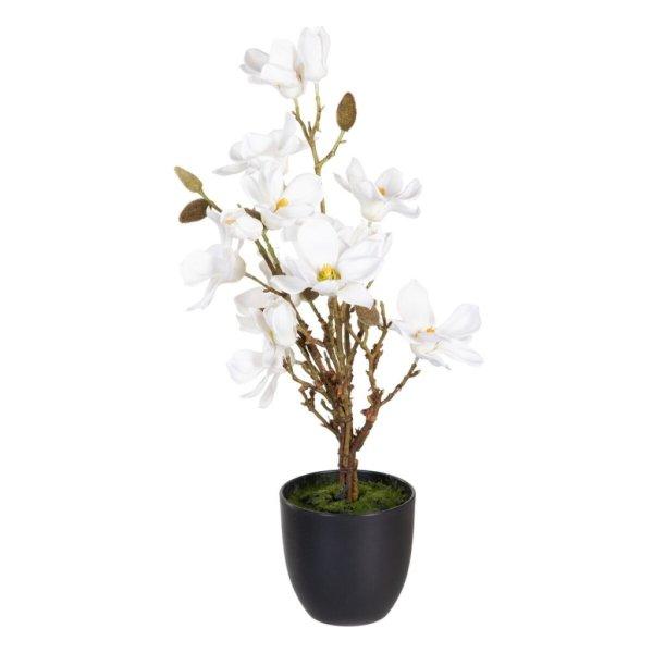 Dekor növény Poliészter Polietilén Vas 30 x 30 x 60 cm Magnolia MOST 26954
HELYETT 17288 Ft-ért!