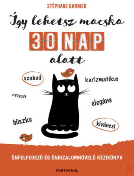 ÍGY LEHETSZ MACSKA 30 NAP ALATT 