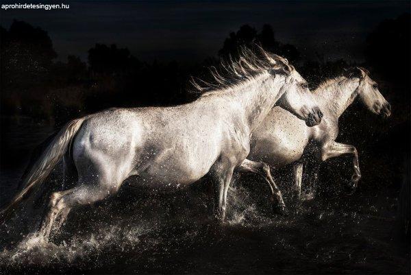 Üveg Falikép 80x120 cm, fekete-fehér lók - LES CHEVAUX - Butopêa