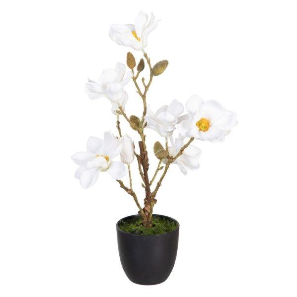 Dekor növény Poliészter Polietilén Vas 25 x 25 x 49 cm Magnolia MOST 17944
HELYETT 10740 Ft-ért!