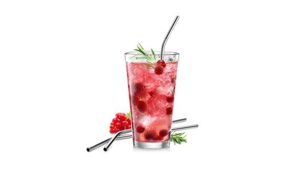 TESCOMA myDRINK 4 db rozsdamentes szívósz,tisztító kefével