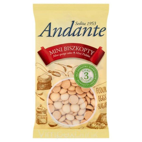 Andante Mini piskóta 120g