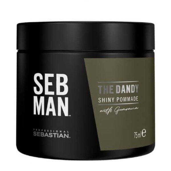 Sebastian Professional Hajpomádé SEB MAN The Dandy (Shiny Pommade) 75
ml