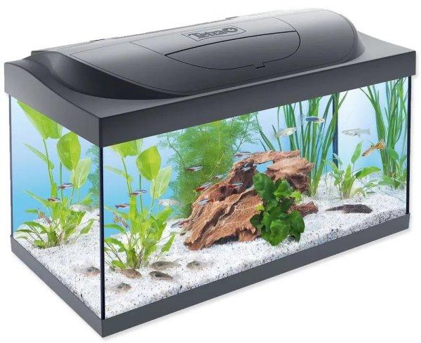 Tetra Starter Line 60 Led Komplett felszerelt akvárium 54l 60x30x30cm (256989)