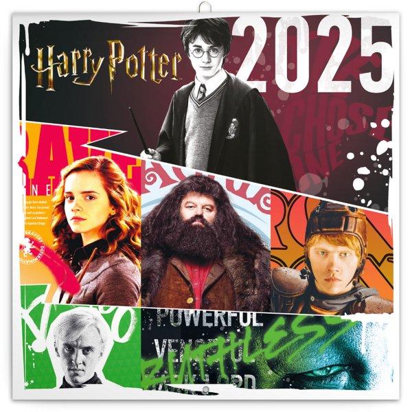 Falinaptár képes lemeznaptár 300x300mm, Harry Potter Realsystem 2025.