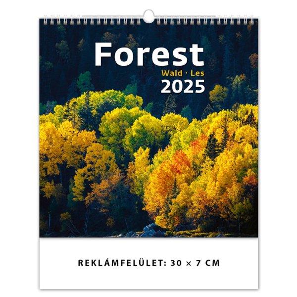 Falinaptár képes 300 x 300 mm, fehér lapokkal Forest Dayliner 2025.