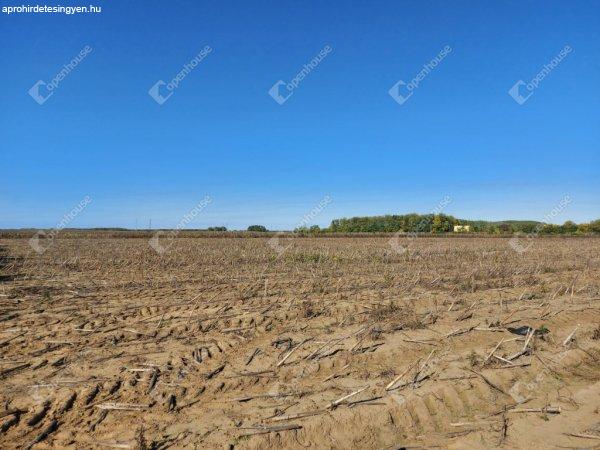 Déli Iparai park közelében eladó mezőgazdasági terület. - Debrecen