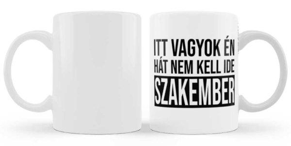 Vicces bögre, Itt vagyok én, hát nem kell ide szakember