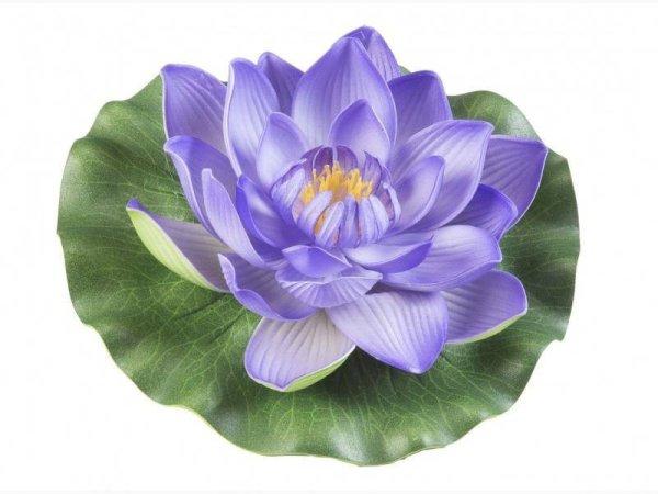 Lotus Foam purple 17 cm