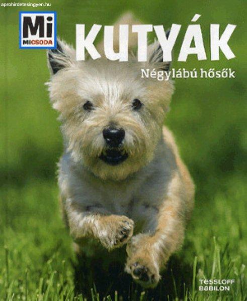 Kutyák