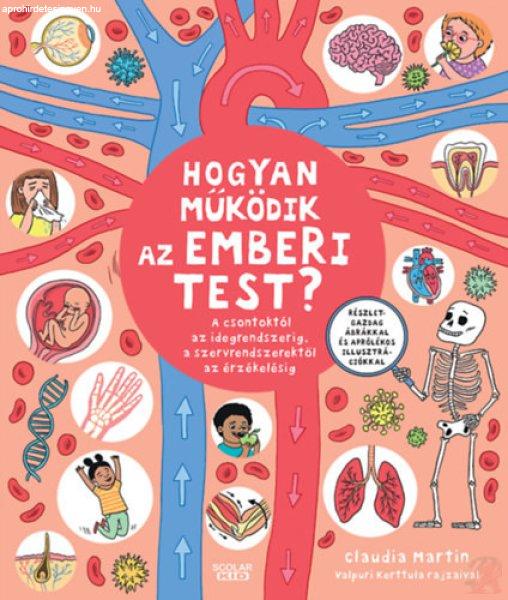 HOGYAN MŰKÖDIK AZ EMBERI TEST?