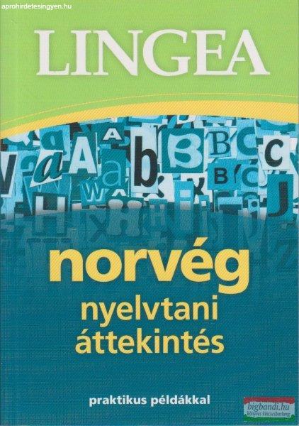 Norvég nyelvtani áttekintés - praktikus példákkal