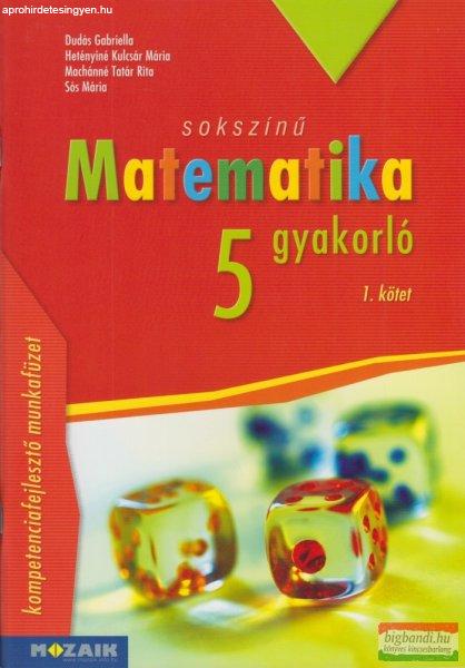 Sokszínű matematika gyakorló 5. - I. kötet - MS-2265U