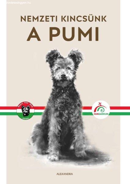 A pumi