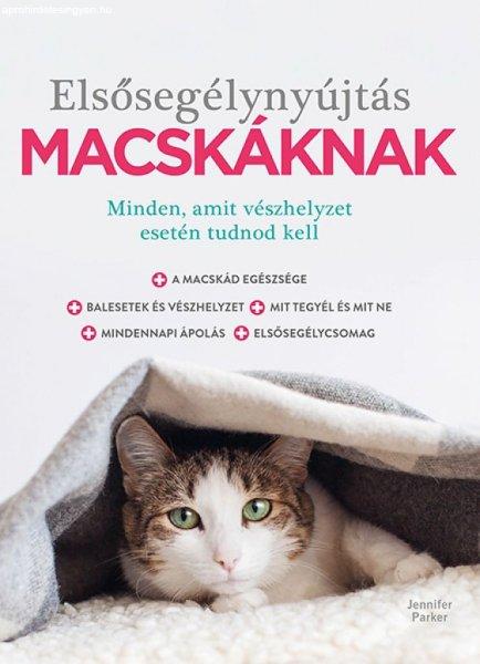 Elsősegélynyújtás macskáknak