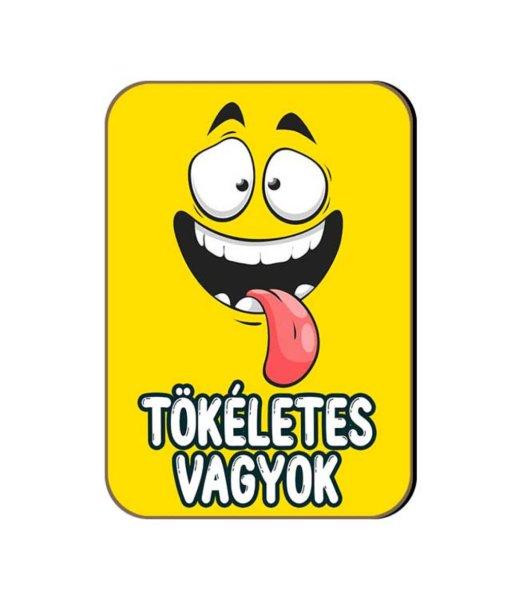 Fa hűtőmágnes, Tökéletes vagyok