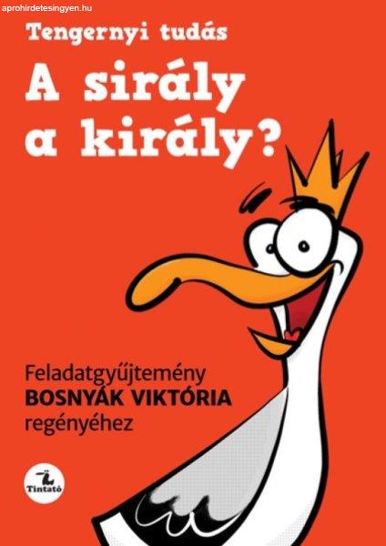 A sirály a király? Feladatgyűjtemény Bosnyák Viktória regényéhez