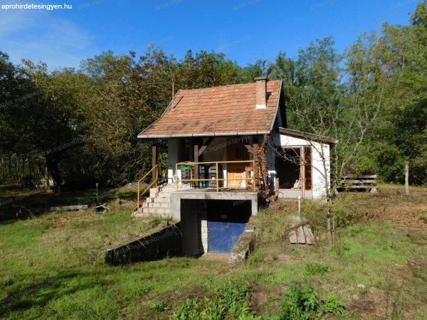 Kecskemét Úrihegyben, 6000m2-es erdős, csodás környezetben, nagyon jó
megközelítessel, 1szobás tanya eladó!