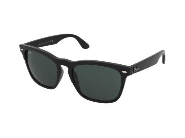 Ray-Ban Steve RB4487 662971