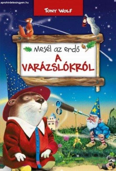 Mesél az erdő - A varázslókról