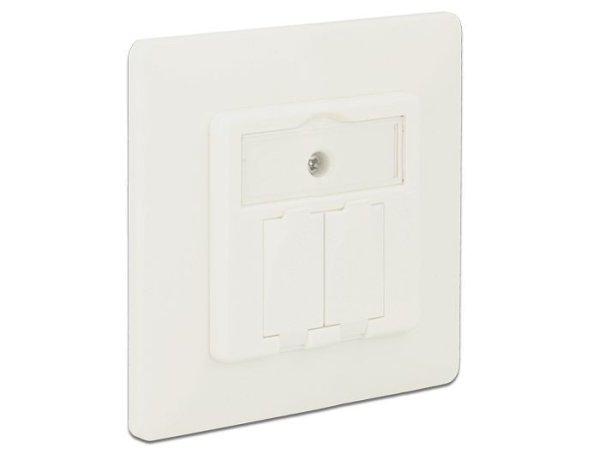 DeLock Keystone Wall Outlet 2 Port compact