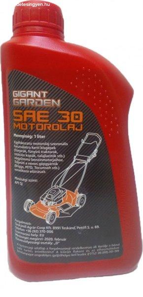 Garden Sae30 Api Sj 0,6L Fűnyíró Olaj