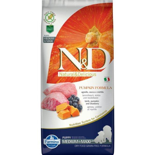 N&D Dog Grain Free bárány & áfonya sütőtökkel puppy medium/maxi 12kg