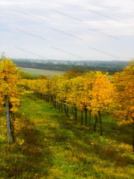 Dörgicsei zártkerti ingatlan gyönyörű panorámával - eladó Dörgicse