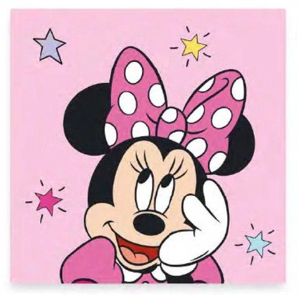 Disney Minnie kéztörlő,arctörlő