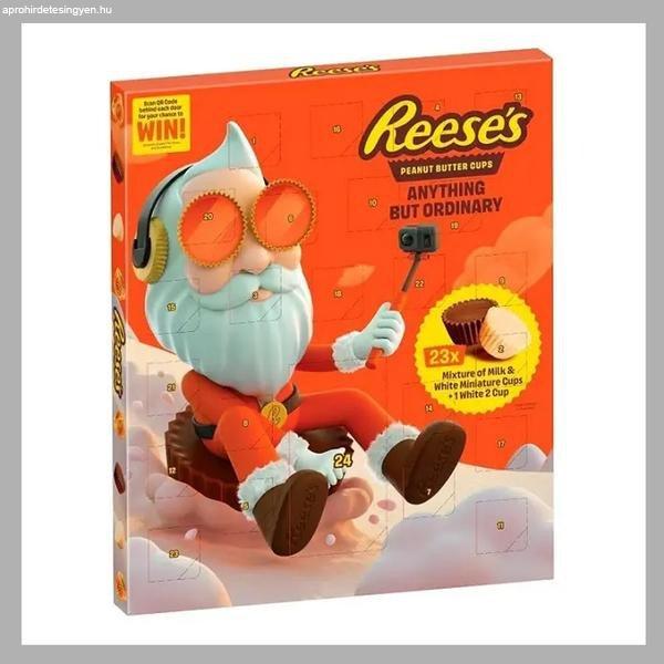 Reeses  Cups Mix adventi kalendárium 245g 13958