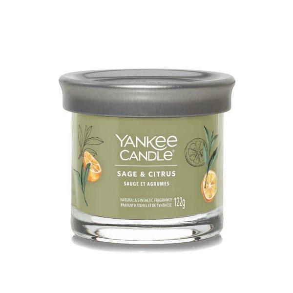 Yankee Candle Illatgyertya Signature tumbler Sage & Citrus 122 g