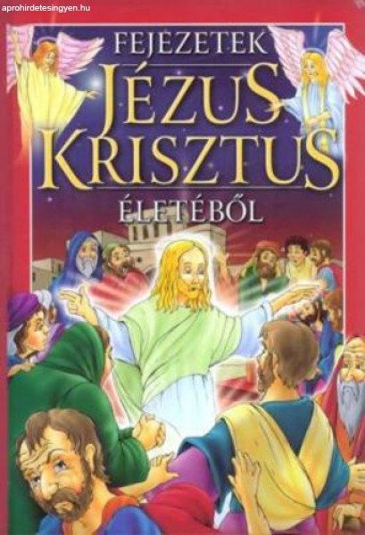 Bácsi Gy. Antal (szerk.): Fejezetek Jézus Krisztus életéből