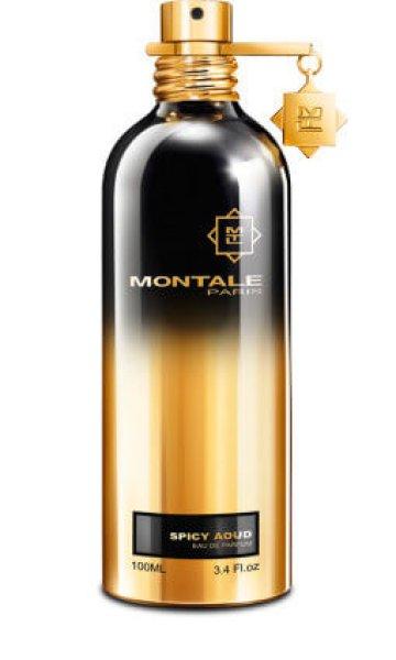 Montale Spicy Aoud - EDP 100 ml