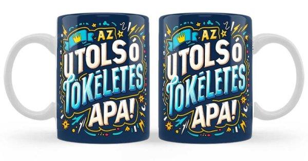 Bögre, Az utolsó tökéletes apa