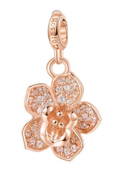 Rosato Bronz medál Orchidea Storie RZ054