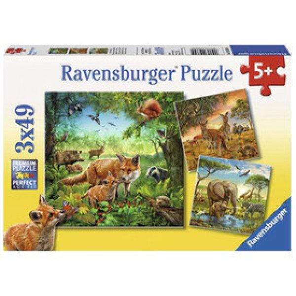 Ravensburger Puzzle 3x49 db - Az erdő lakói