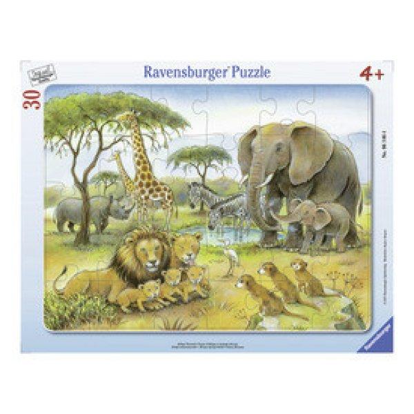 Ravensburger Puzzle 30 db - Afrikai állatvilág