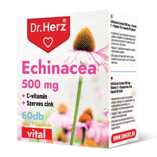 Dr. Herz Echinecea 500 mg + C-vitamin + szerves cink kapszula (60 db)