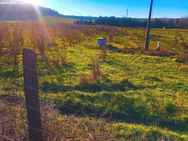 Ne Csak Álmodoz - Valósítsd is MEG - Balatonszőlős