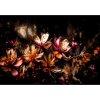SONER mgneses raditor takar virg mintval 60x160 cm - So
