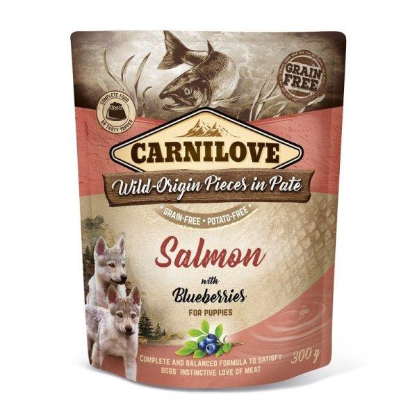 Carnilove Dog Puppy tasakos Paté Salmon with Blueberries - Lazac áfonyával
300g HU