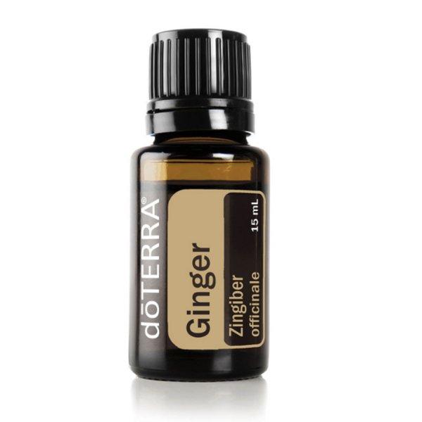 Ginger – Gyömbér illóolaj 15 ml - doTERRA