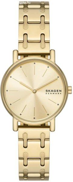 Skagen Signatur Lille SKW3124