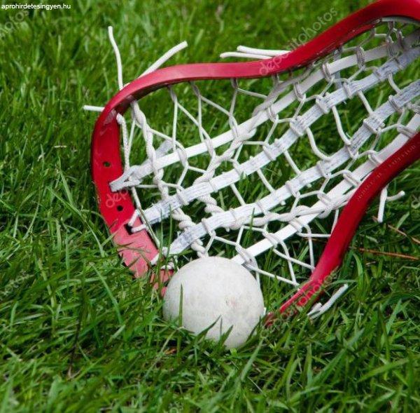 Lacrosse Ball, Lacrosse labda