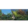 Ebi Photo Decor Beauty + Sea 80x40Cm akvrium httr kt old